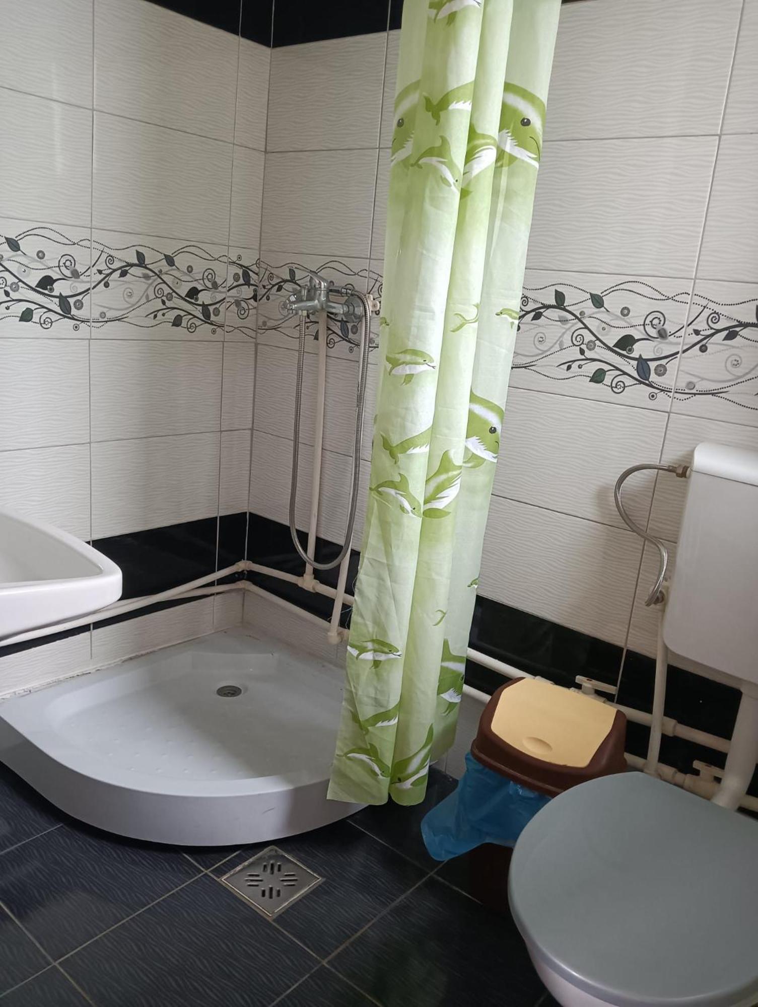 Casa Emilia Vatra Dornei Quarto foto