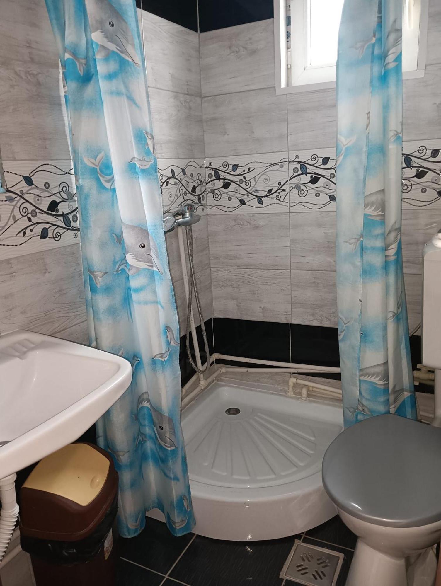 Casa Emilia Vatra Dornei Quarto foto