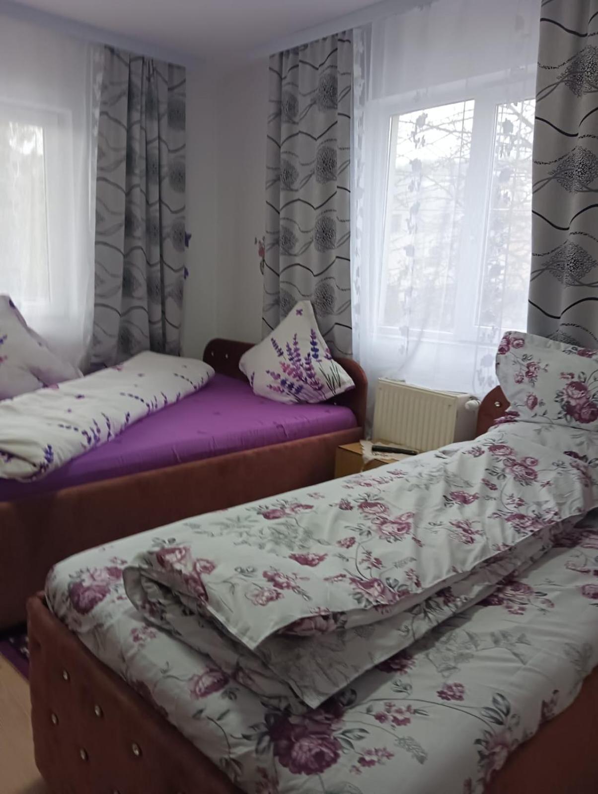 Casa Emilia Vatra Dornei Quarto foto